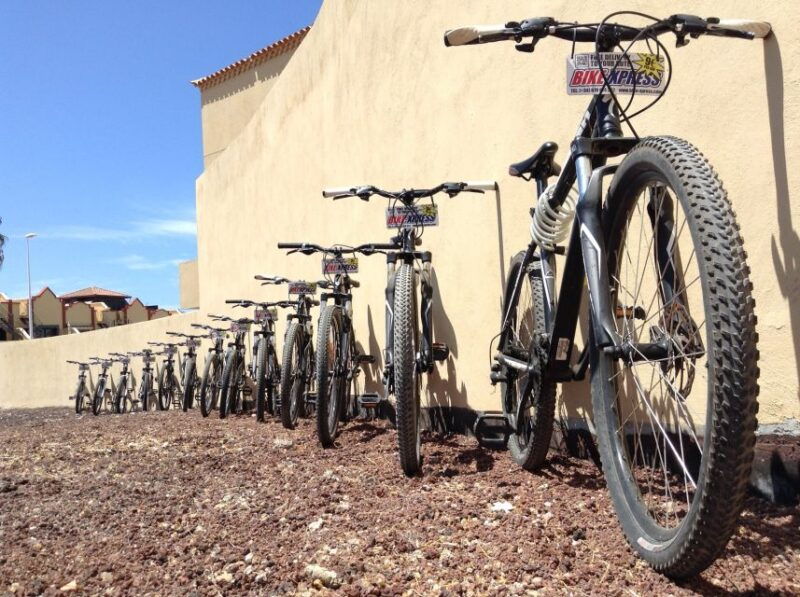 tenerife-mountain-bike-rental-with-hotel-delivery