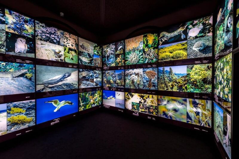 tenerife-muna-museum-admission-ticket-and-teide-legend-tour