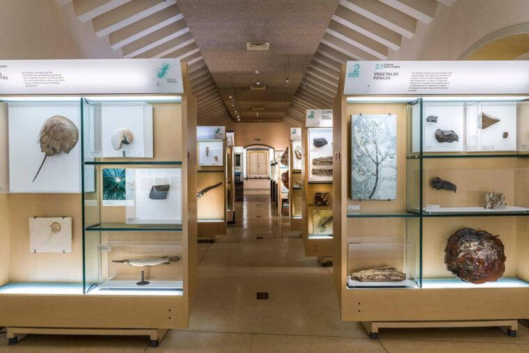 tenerife-muna-museum-admission-ticket-and-teide-legend-tour