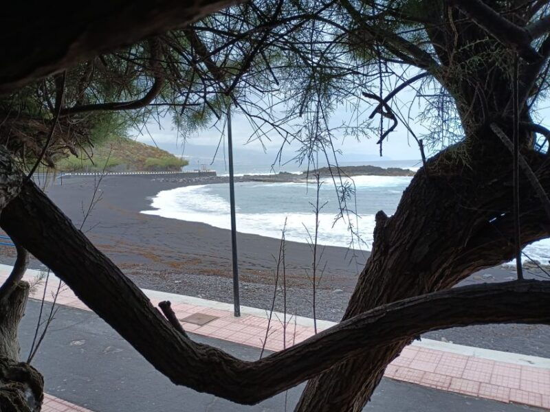 tenerife-north-coast-landscapes-private-day-tour