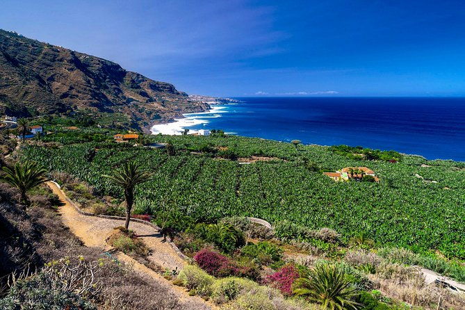 tenerife-north-private-tour-through-villages-and-ports