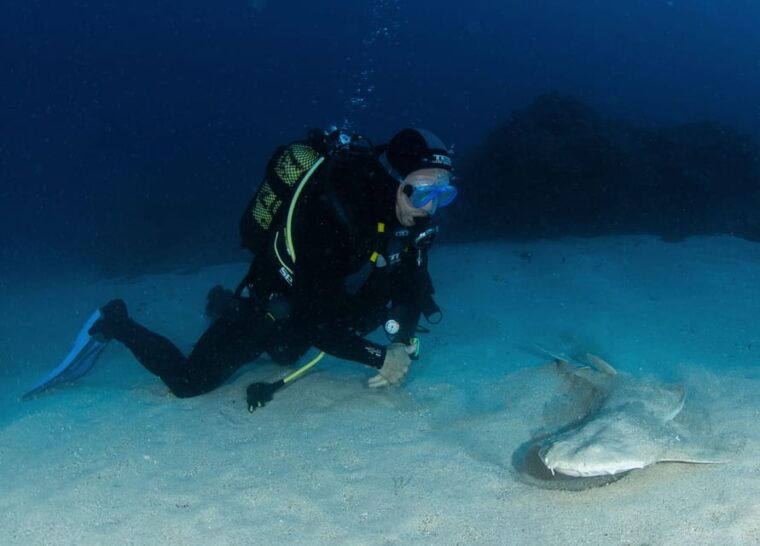 tenerife-padi-open-water-diver-course
