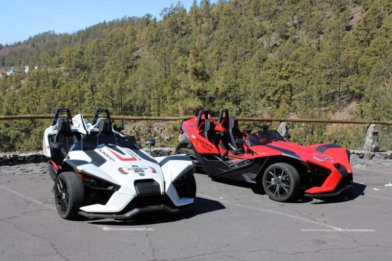 Tenerife: Pino Gordo Self-Drive Slingshot Tour - An In-Depth Look at the Tenerife Pino Gordo Self-Drive Slingshot Tour