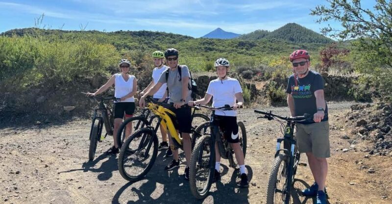 Tenerife: premium e-bike ride at Chineyro volcanic area - Who Will Love This Tour?