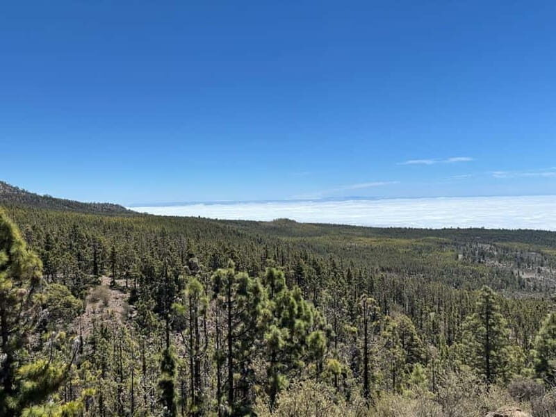 Tenerife: premium e-bike ride at Vilaflor- Lunar Landscape - An Honest Look at the Experience