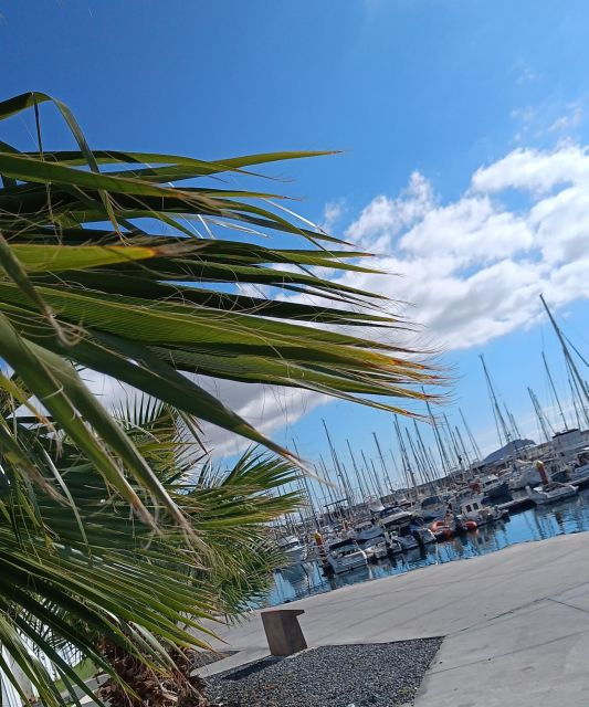 tenerife-private-catamaran-cruise-with-lunch-and-drinks