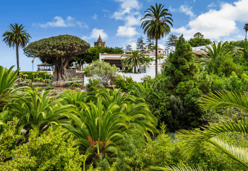 tenerife-private-day-tour-of-the-island-with-hotel-pickup