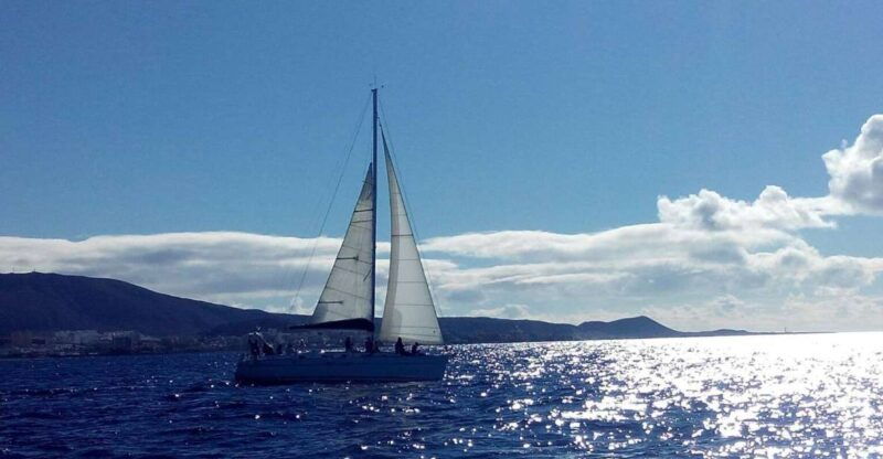 tenerife-private-or-group-3-hour-sailing-cruise-with-drinks