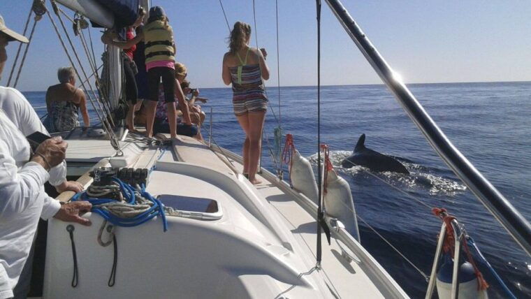 tenerife-private-or-group-3-hour-sailing-cruise-with-drinks