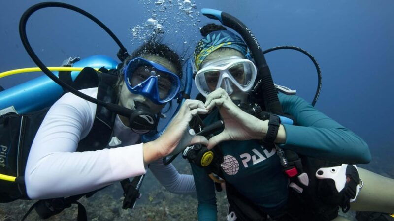 tenerife-private-scuba-diving-experience-with-photos