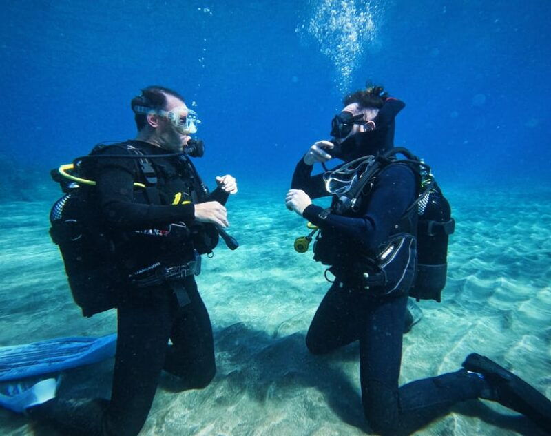tenerife-private-scuba-diving-experience-with-photos