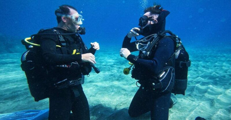 tenerife-private-scuba-diving-experience-with-photos