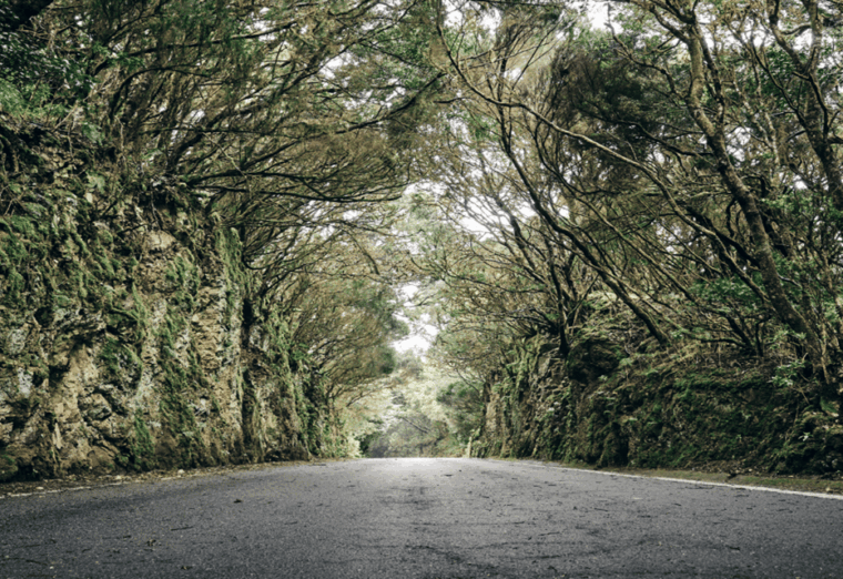 tenerife-private-taganana-and-anaga-day-trip-with-pickup