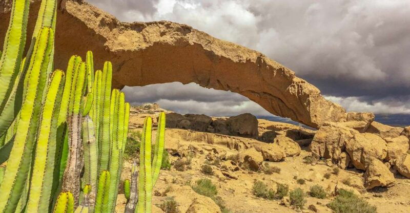 tenerife-private-tour-full-day-volcanic-south