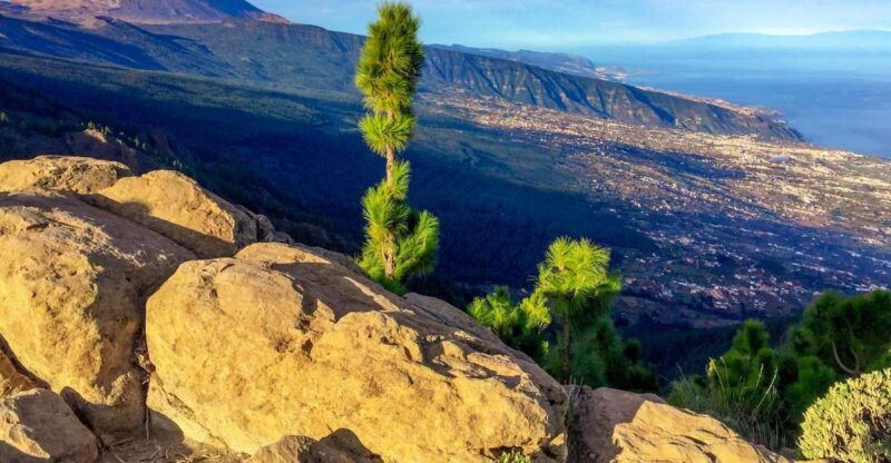 tenerife-private-tour-teide-and-flavors-of-the-north