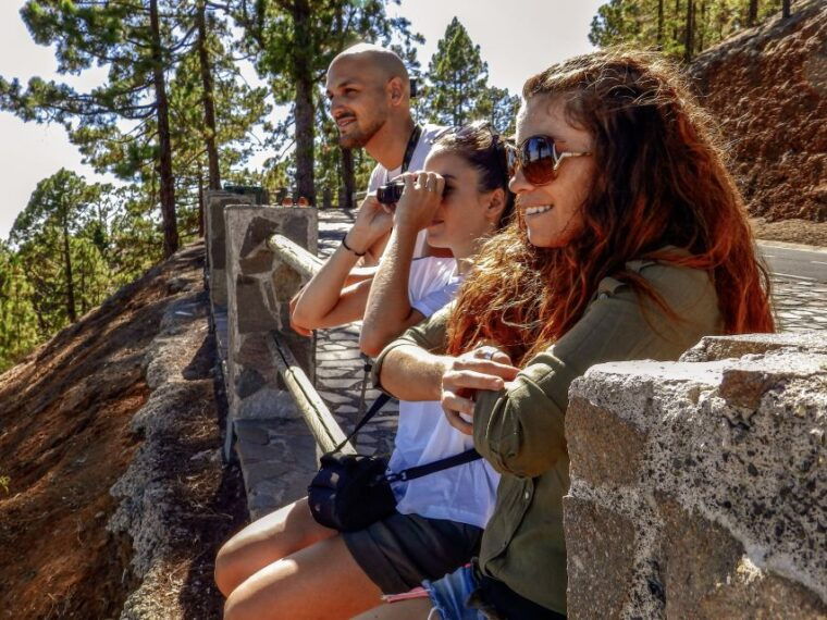 tenerife-private-tour-teide-and-flavors-of-the-north