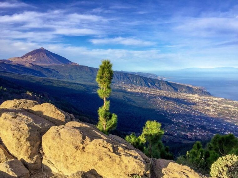 tenerife-private-tour-teide-and-flavors-of-the-north