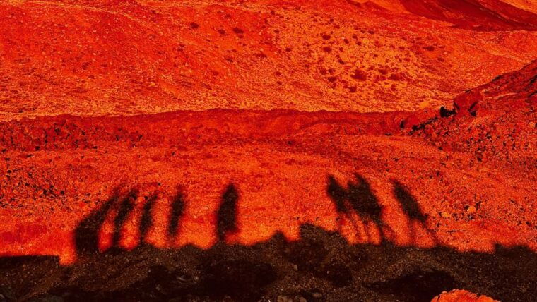 tenerife-private-vip-tour-teide-national-park