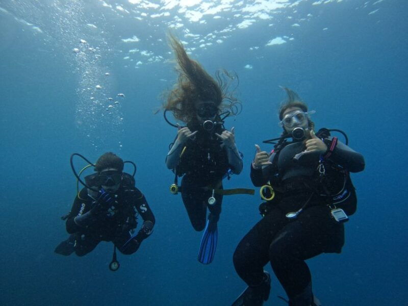 tenerife-puerto-colon-certified-scuba-dive-by-speed-boat