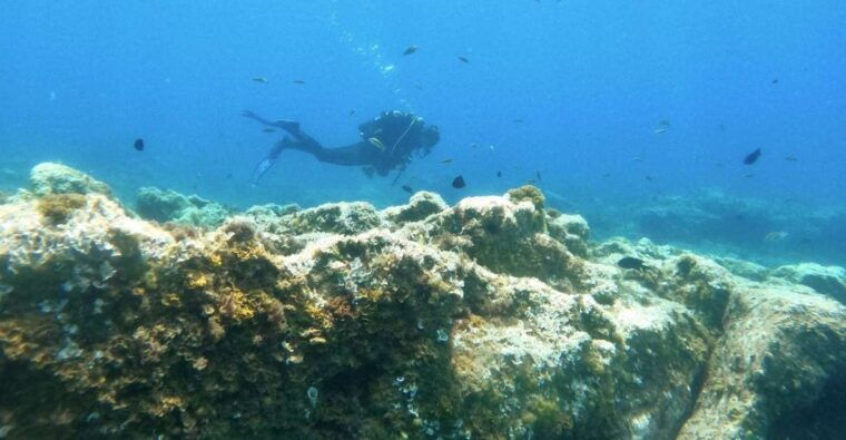 tenerife-puerto-colon-certified-scuba-dive-by-speed-boat
