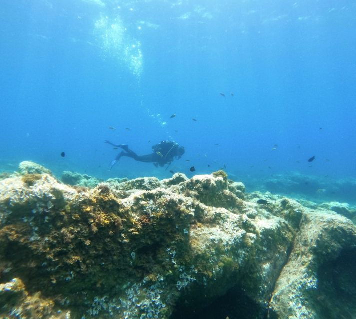 tenerife-puerto-colon-certified-scuba-dive-by-speed-boat