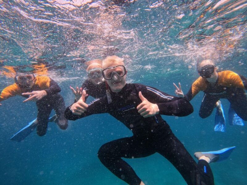 tenerife-puerto-colon-snorkel-safari-by-speed-boat