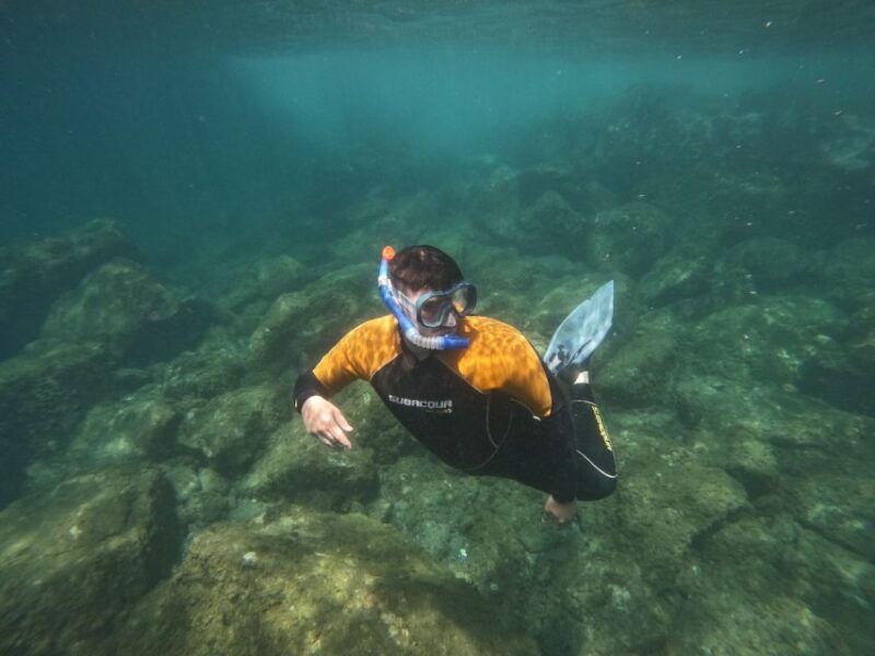 tenerife-puerto-colon-snorkel-safari-by-speed-boat