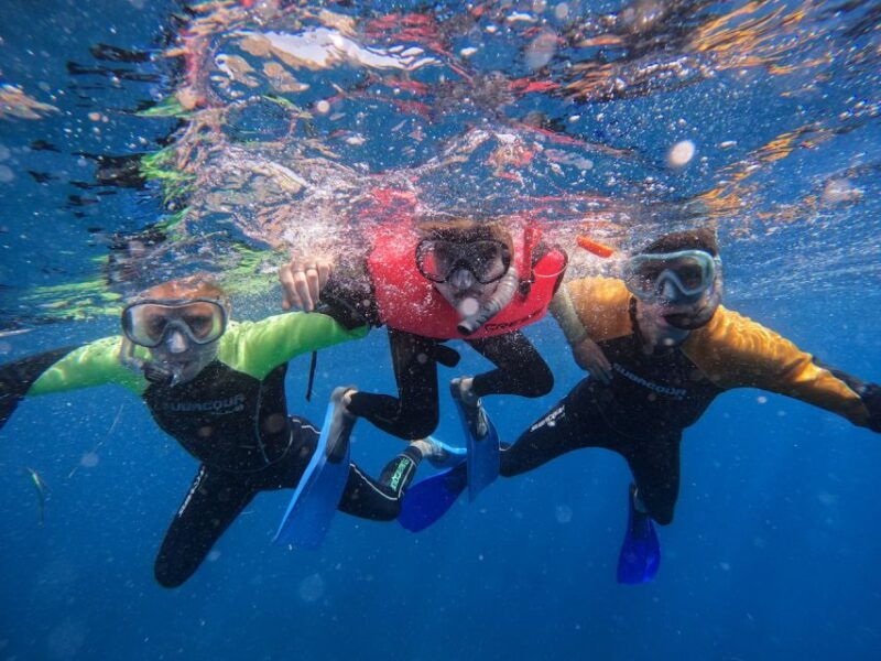 tenerife-puerto-colon-snorkel-safari-by-speed-boat