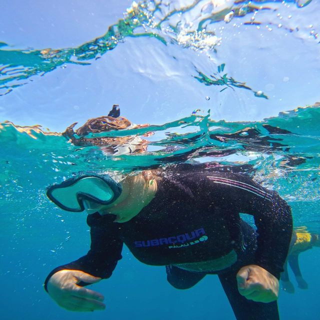 tenerife-puerto-colon-snorkel-safari-by-speed-boat