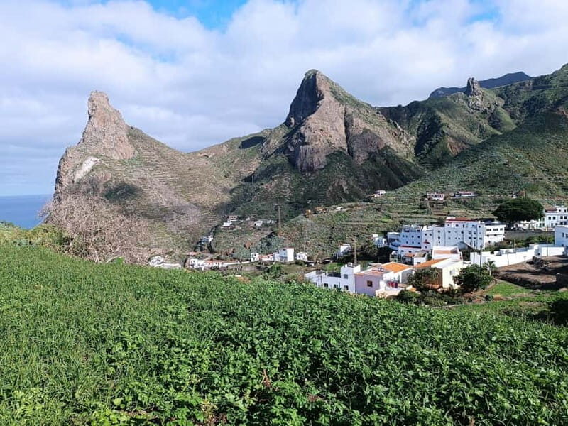 Tenerife-Puerto Cruz: Avatar Hiking, Bajamar and Cocktail - Authentic Traveler Experiences
