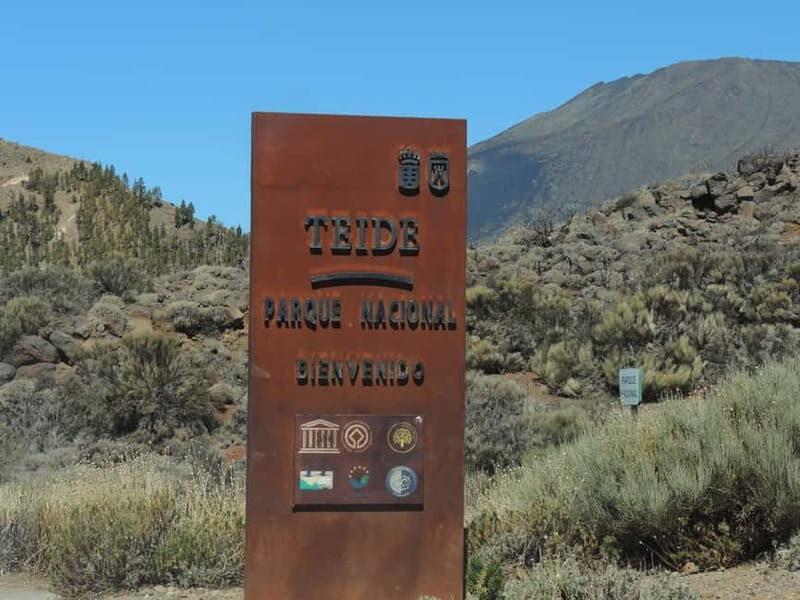 Tenerife: Quad Adventure to Mount Teide with Off-Road - Who Should Consider This Tour?