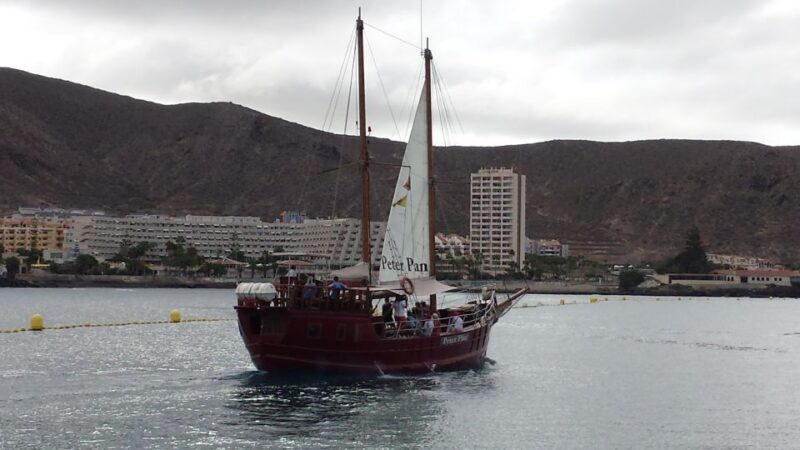 Tenerife: Respectful Whale Watching Pirate Cruise + Swim - Key Points
