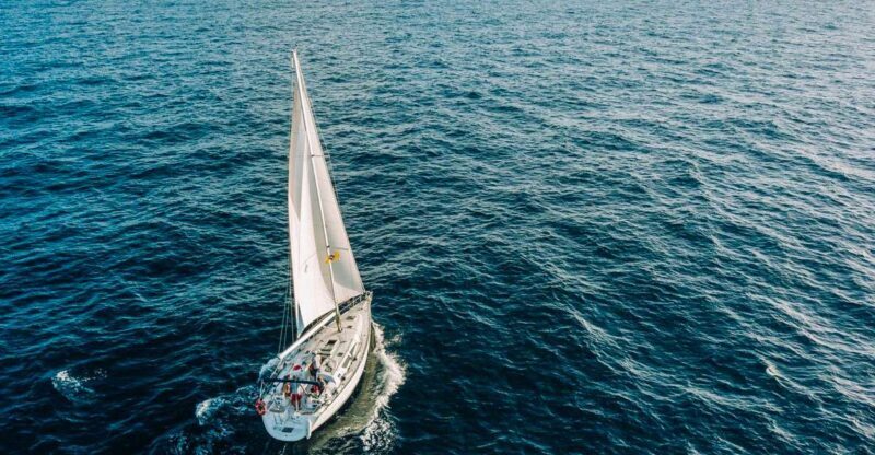 Tenerife: Sailboat Tour Whale Watching Food and Snorkeling - Key Points