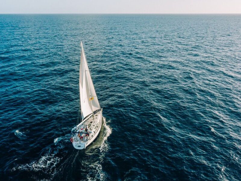 Tenerife: Sailboat Tour Whale Watching Food and Snorkeling - Introduction: Why This Sailboat Tour Stands Out