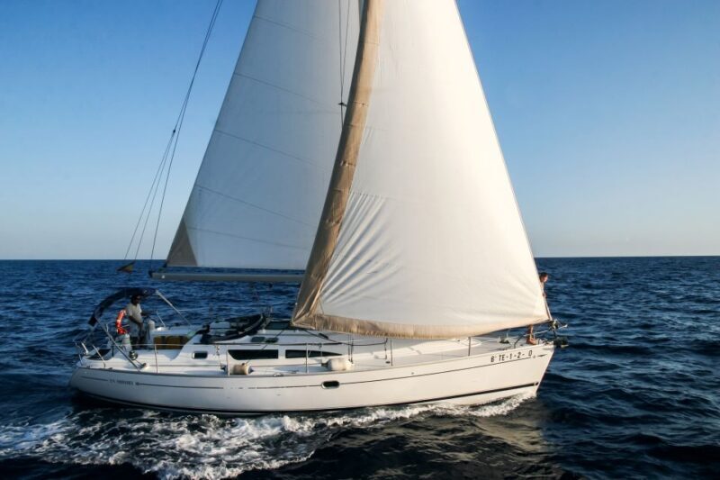 Tenerife: Sailboat Tour Whale Watching Food and Snorkeling - Authentic Encounters and Marine Respect
