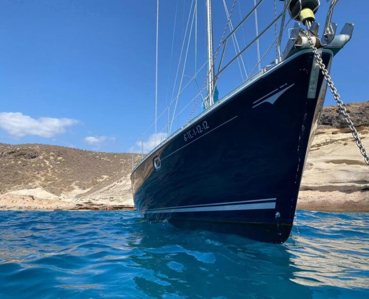 tenerife-sailing-excursion-with-whale-and-dolphin-watching