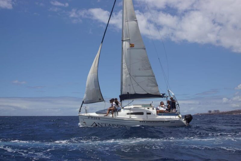 tenerife-sailing-experience-with-snacks-and-drinks