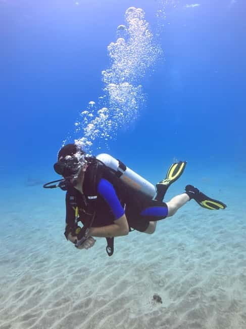 Tenerife: Scuba Dive & Fun, Discover the Magic of the Ocean - Final Thoughts