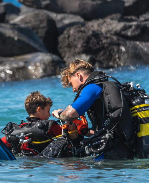 tenerife-scuba-dive-fun-discover-the-magic-of-the-ocean