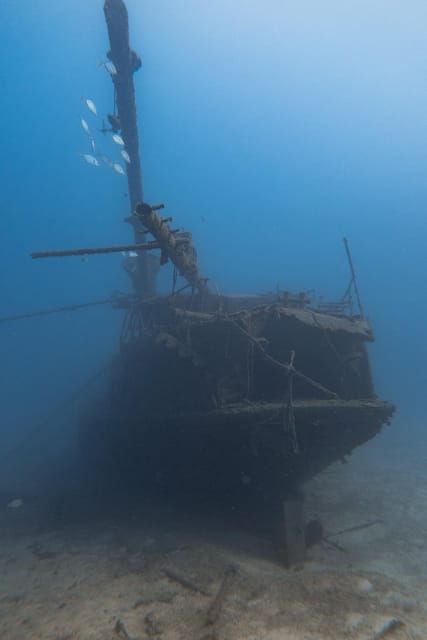 tenerife-scuba-diving-for-certified-divers-in-tenerife