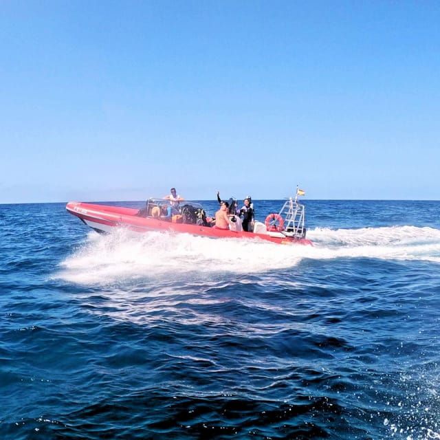 tenerife-scuba-diving-for-certified-divers-in-tenerife