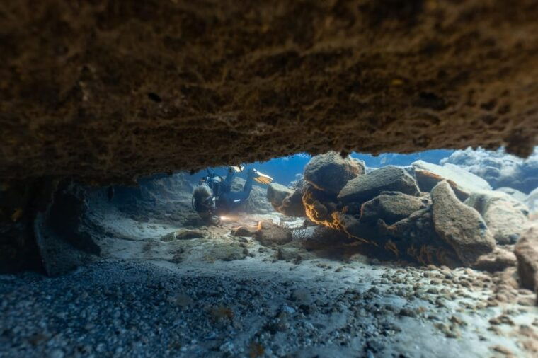 tenerife-scuba-diving-for-certified-divers-in-tenerife