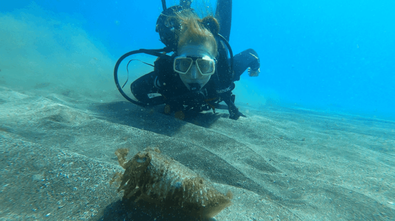 tenerife-scuba-diving-lesson-and-abades-protected-area-dive