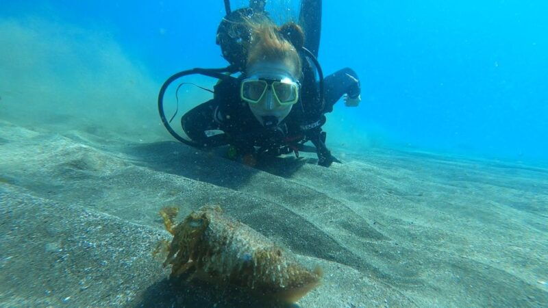 tenerife-scuba-diving-lesson-and-abades-protected-area-dive