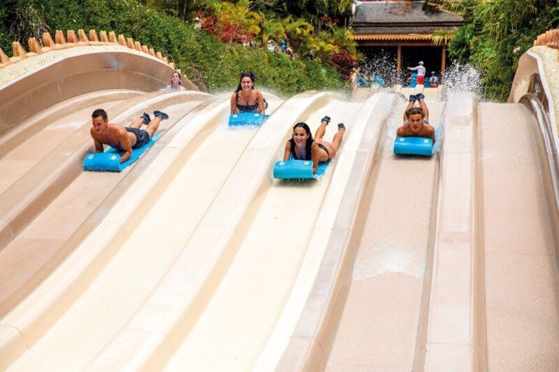 Tenerife: Siam Park Premium Full-Day Experience - The Attractions That Pack a Punch