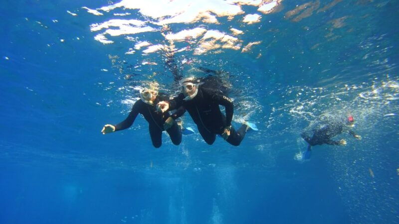 tenerife-snorkel-with-turtles