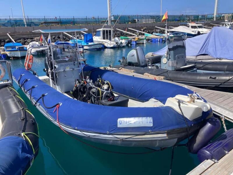 Tenerife: Snorkeling to look for Turtles and Rays - Key Points