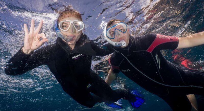 Tenerife: Snorkeling to look for Turtles and Rays - What to Expect During the Snorkeling