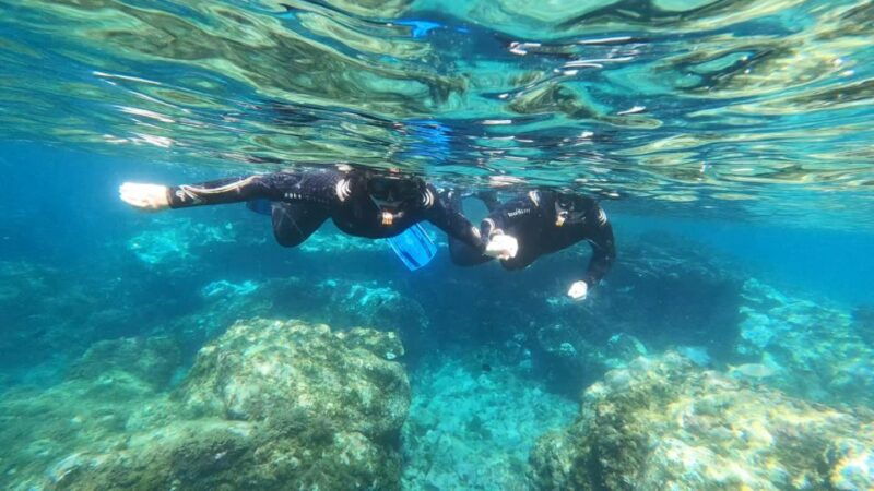 tenerife-snorkeling-tour-in-a-marine-protected-area
