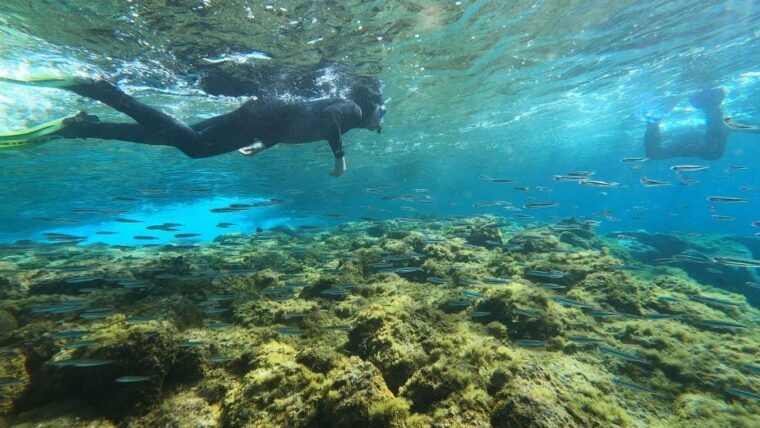 tenerife-snorkeling-tour-in-a-marine-protected-area